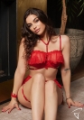 Luxxa HARNESS BRA VEIL 6